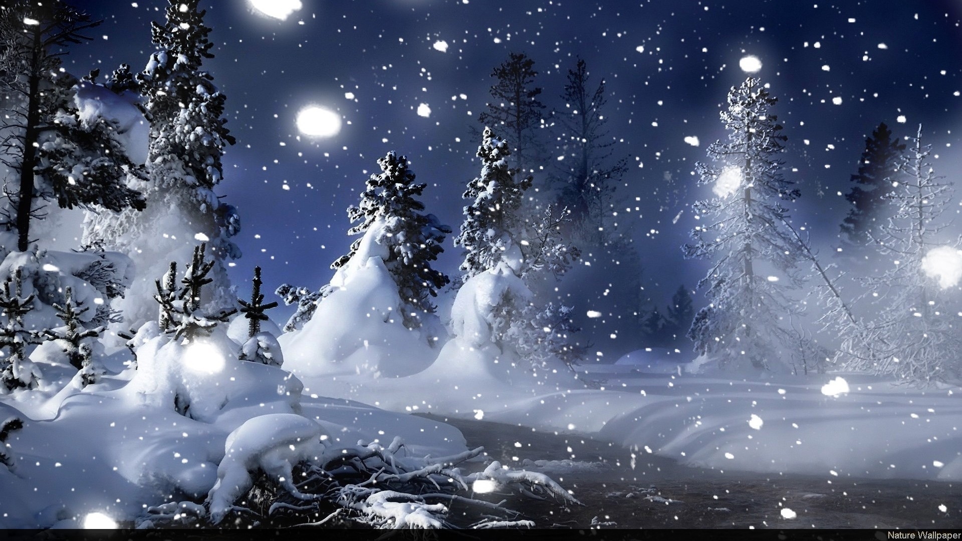 Night Winter wallpaper download